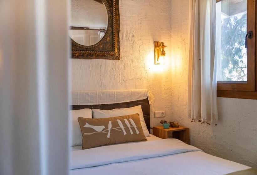 Camera Quadrupla Standard Vista Giardino, Bir Dem Urla