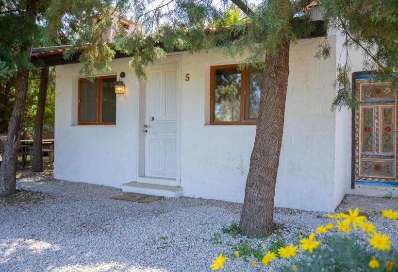 Camera Quadrupla Standard Vista Giardino, Bir Dem Urla