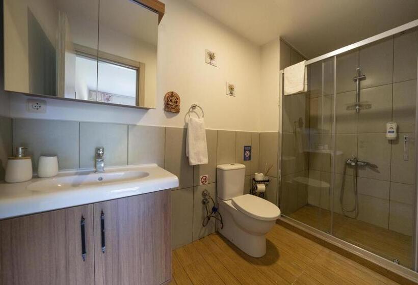 Camera Tripla Standard Vista Piscina, Bir Dem Urla