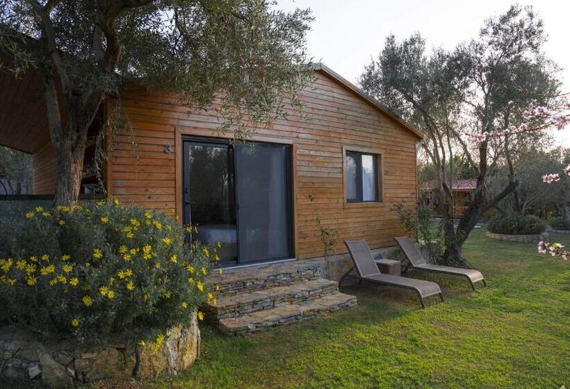 Camera Tripla Standard Vista Piscina, Bir Dem Urla