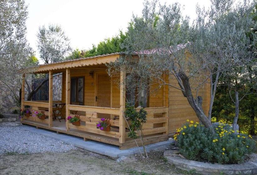 بانگلوی سوپریور, Bir Dem Urla
