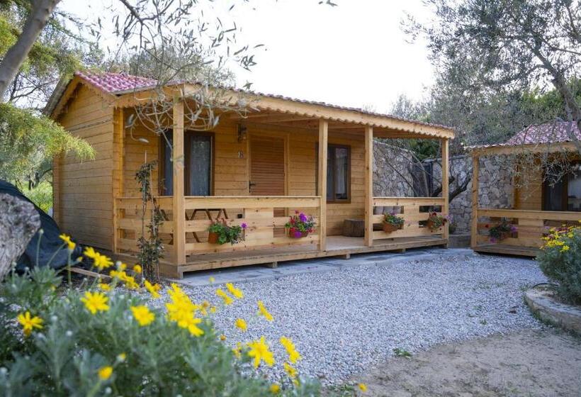 Bungalow Superior, Bir Dem Urla