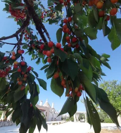 1베드룸 아파트 1층, Trullo La Chicca Della Valle