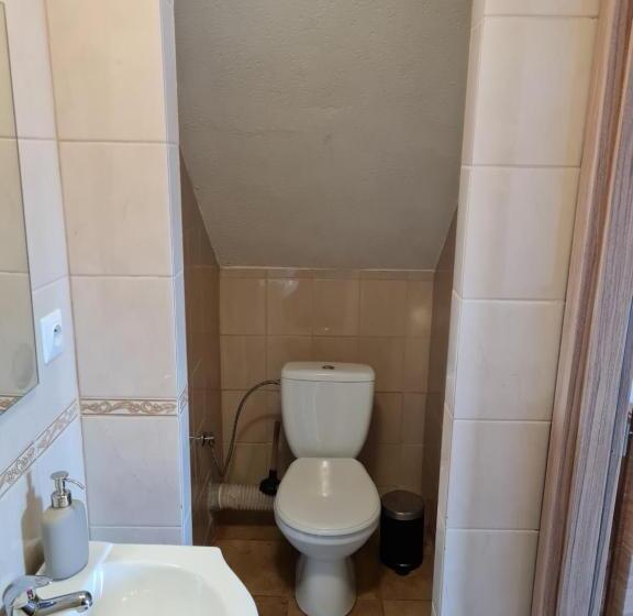 标准间, Starý Dom