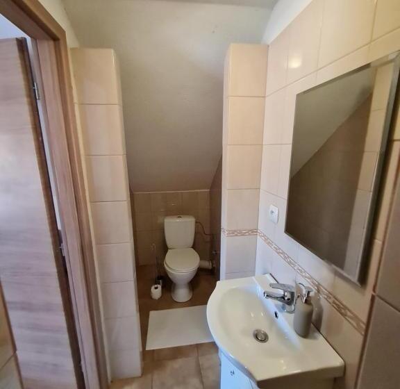 标准间, Starý Dom