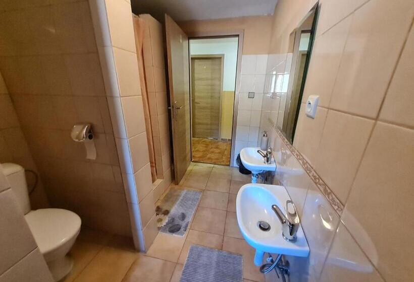 标准三人间, Starý Dom