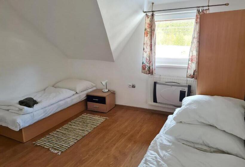 标准三人间, Starý Dom