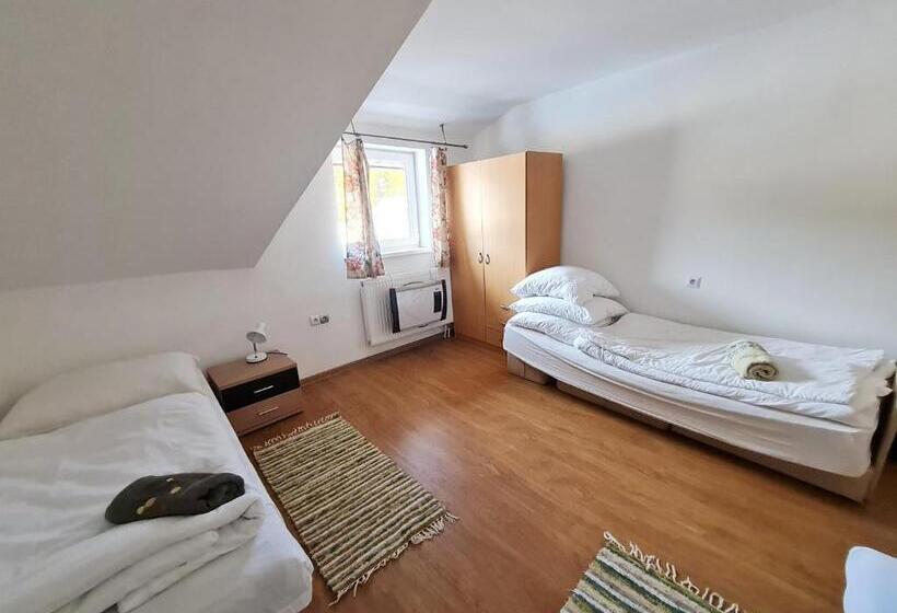 标准三人间, Starý Dom