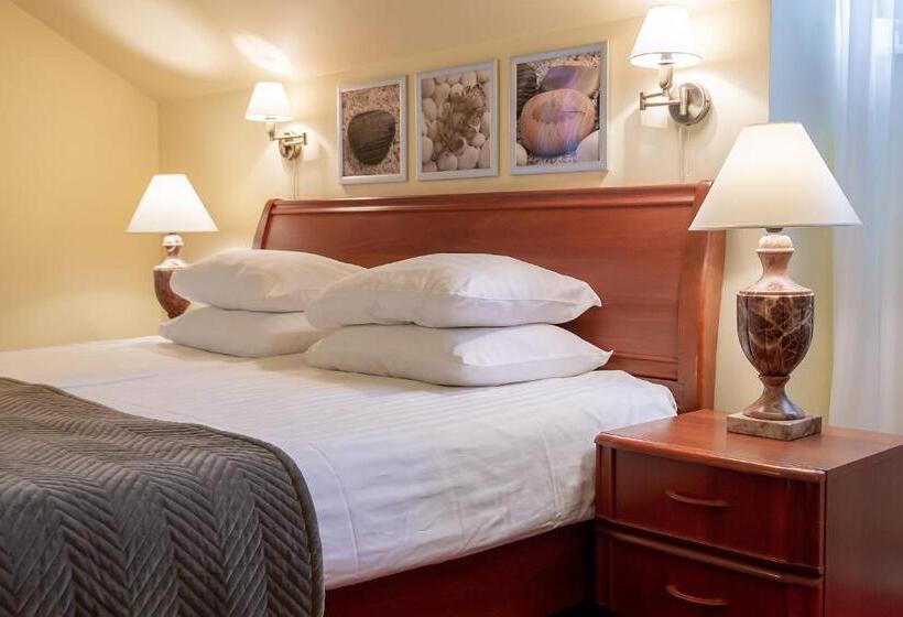 סוויטה נשיאותית, Best Palanga