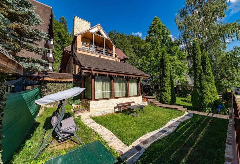 스탠다드 싱글 룸, Casa Freya