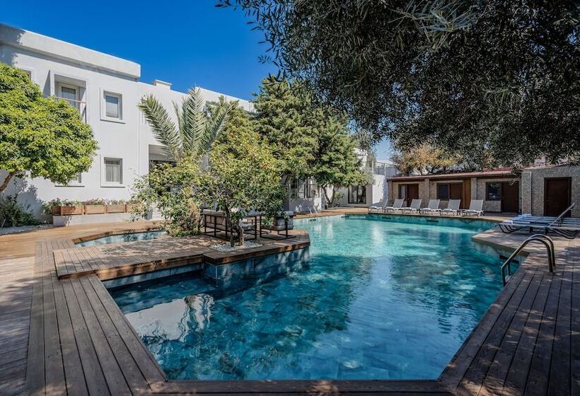 סוויטה, Centro Bodrum