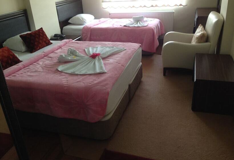 اتاق استاندارد, Midyat Gap Otel