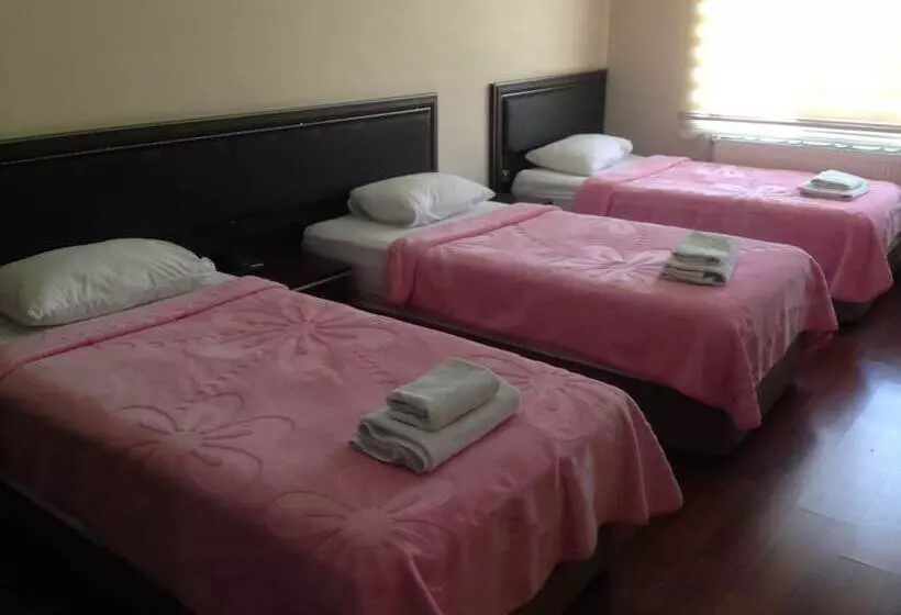 Standard Kolmen Hengen Huone, Midyat Gap Otel