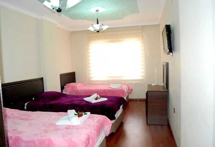 Standard Kolmen Hengen Huone, Midyat Gap Otel