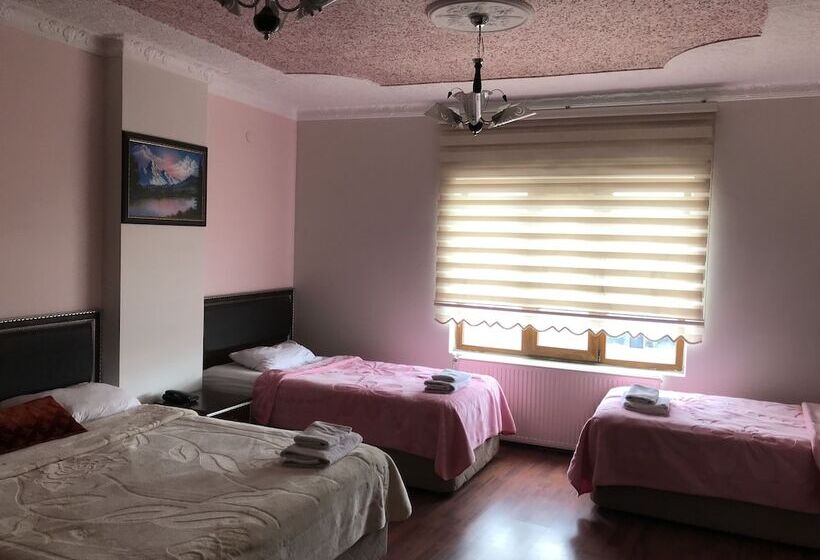 اتاق خانوادگی, Midyat Gap Otel