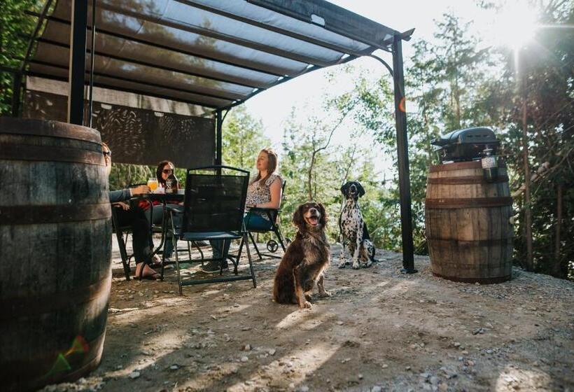 可看到停车场的标准间, Entre Lemoine Et L Arbre