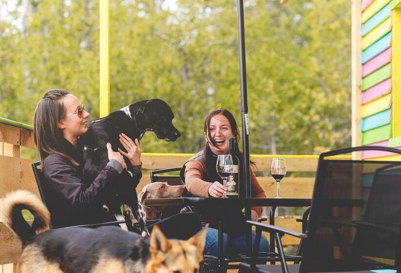 一居室别墅, Entre Lemoine Et L Arbre