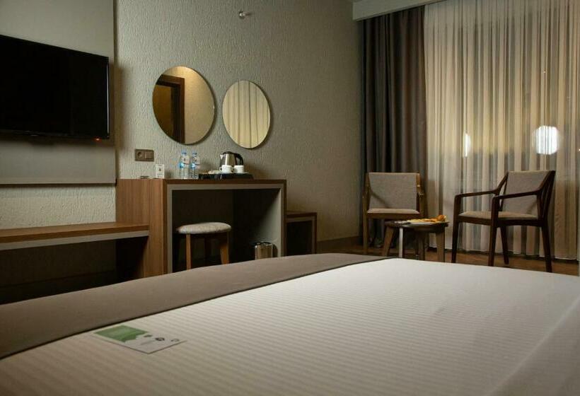 غرفة قياسية, The Erzurum