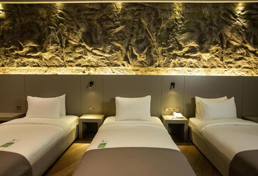 غرفة سوبيريور عائلية, The Erzurum