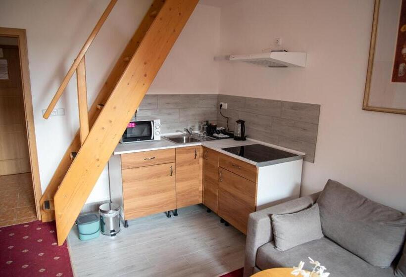 듀플렉스 스위트, Pension Jízdárna