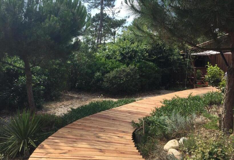 Номер Стандарт Вид на Сад, Cabane Zen Ocean, Les Cabanes Océanes Montalivet