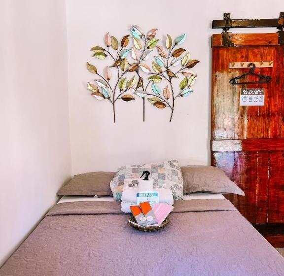 이코노미 룸, Lazerena Lodge