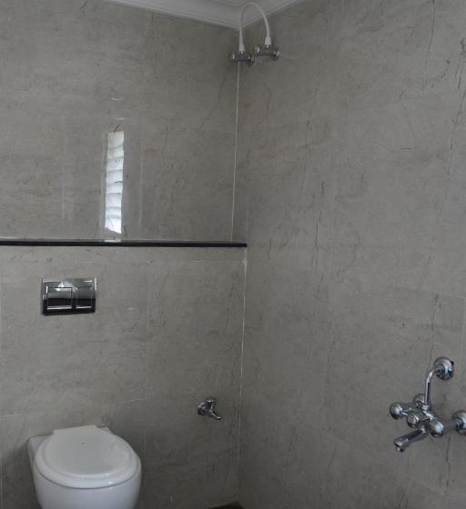 Номер Deluxe, Swiss Cottage