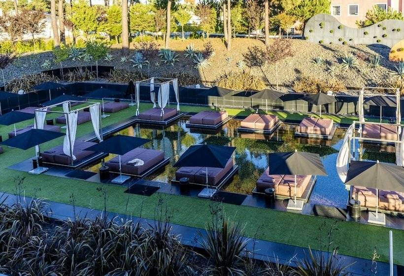 غرفة قياسية مطلّة علي حمام السباحة, Evidencia Belverde