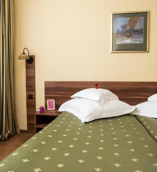 Chambre Standard Individuelle, Lyra