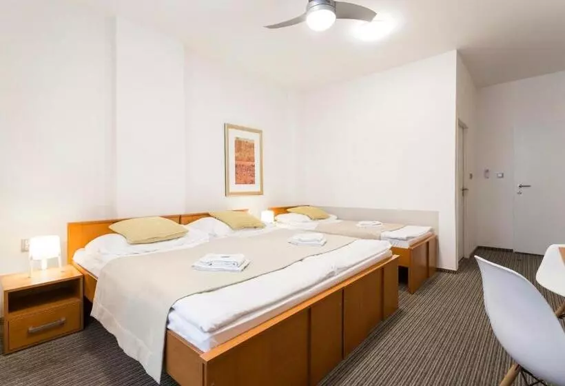 Standard Kolmen Hengen Huone, Pension Akat