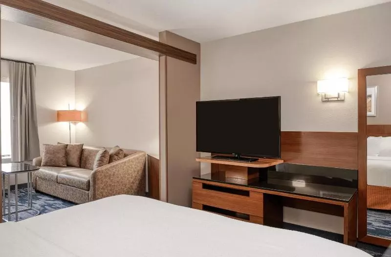 Suite King Bed