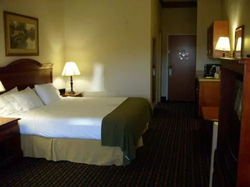 身障者適用キングサイズベッドルーム, Holiday Inn Express Hotel & Suites Laurinburg, An Ihg