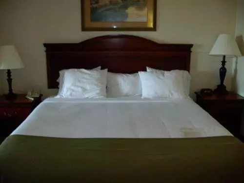 身障者適用キングサイズベッドルーム, Holiday Inn Express Hotel & Suites Laurinburg, An Ihg