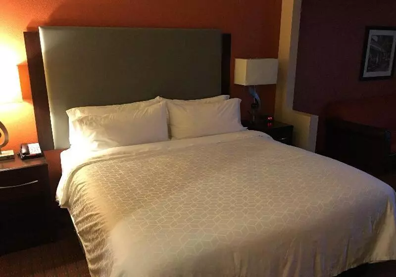 身障者適用キングサイズベッドルーム, Holiday Inn Express Hotel & Suites Laurinburg, An Ihg