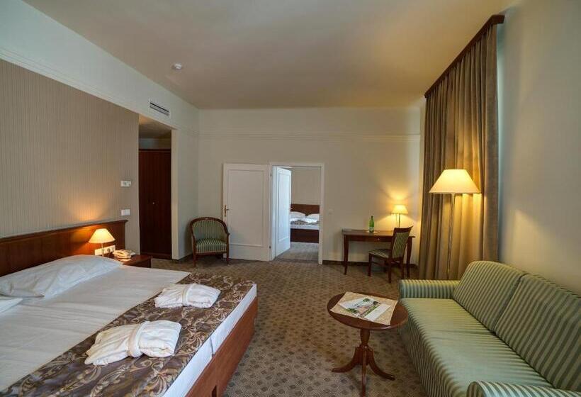 اتاق پرمیوم, Grand Hotel Rogaška