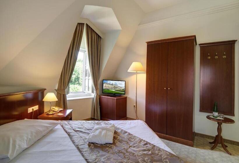 اتاق پریمیوم یک تخته, Grand Hotel Rogaška