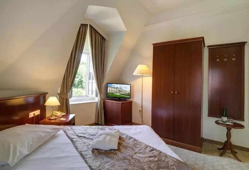 اتاق پریمیوم یک تخته, Grand Hotel Rogaška
