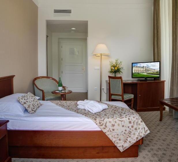 اتاق پریمیوم یک تخته, Grand Hotel Rogaška