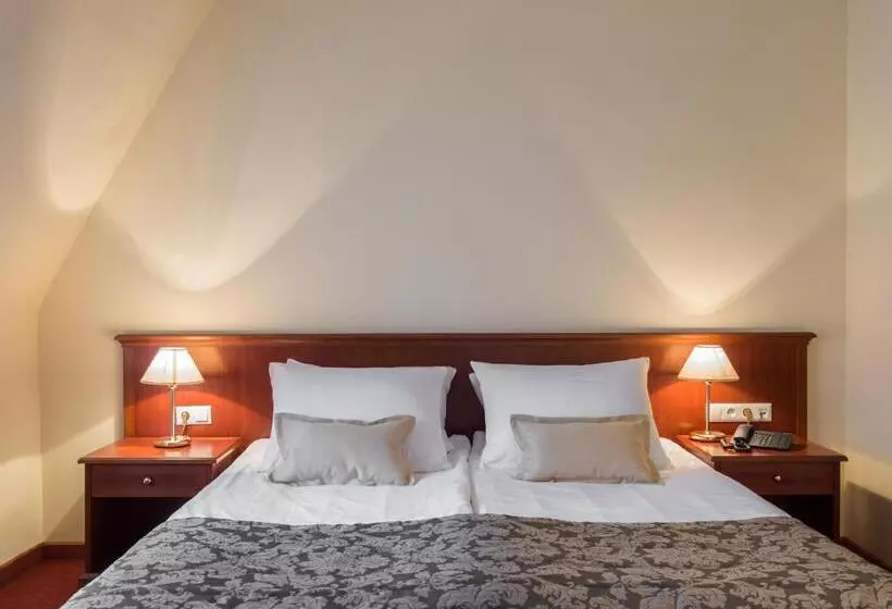 اتاق پریمیوم با چشم‌انداز باغ, Grand Hotel Rogaška