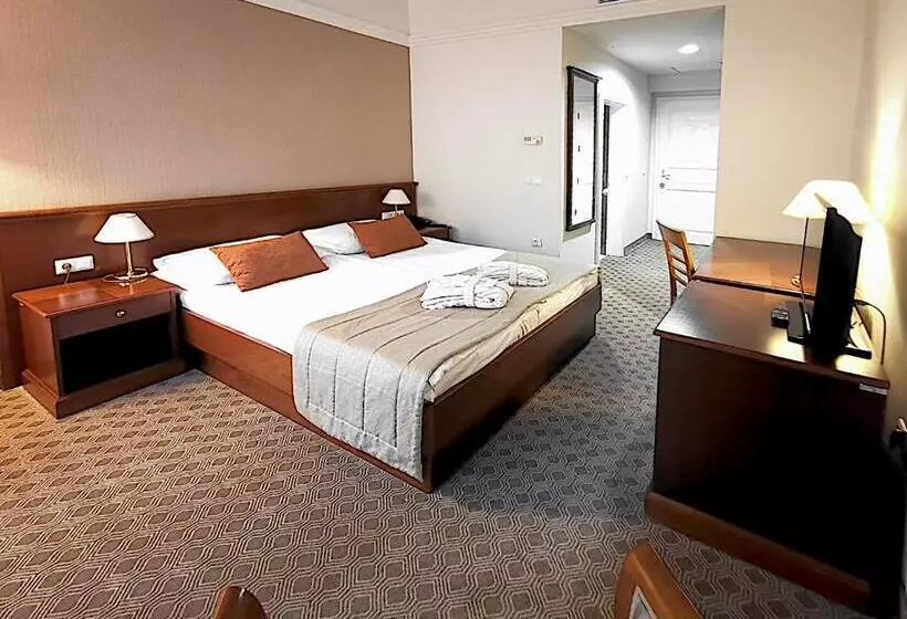 اتاق اکونومی, Grand Hotel Rogaška
