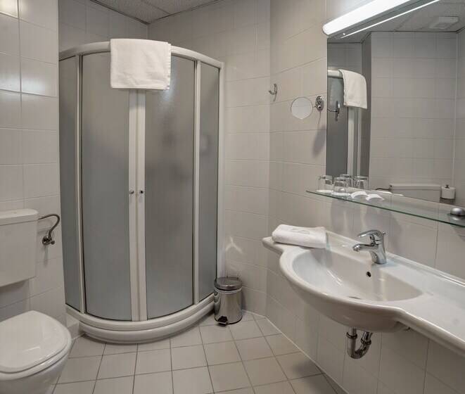 اتاق پریمیوم یک تخته, Grand Hotel Rogaška