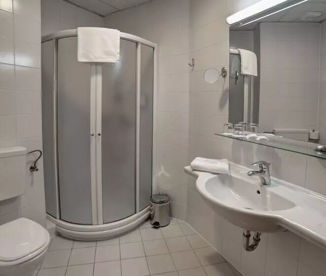 اتاق پریمیوم یک تخته, Grand Hotel Rogaška