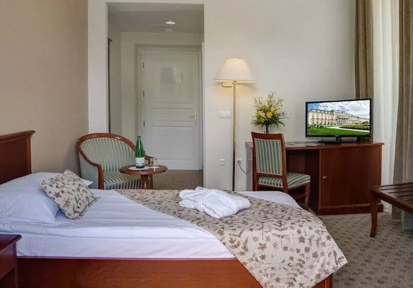 اتاق پریمیوم یک تخته, Grand Hotel Rogaška