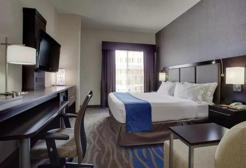 身障者適用キングサイズベッドルーム, Holiday Inn Express Hotel & Suites Meadowlands Area, An Ihg