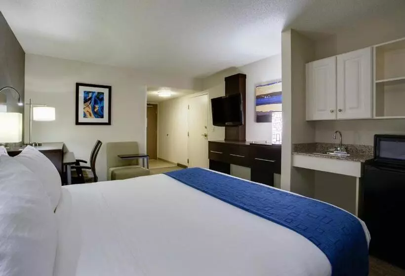 身障者適用キングサイズベッドルーム, Holiday Inn Express Hotel & Suites Meadowlands Area, An Ihg