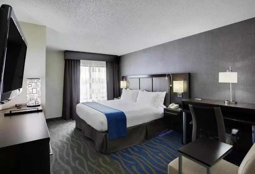 身障者適用キングサイズベッドルーム, Holiday Inn Express Hotel & Suites Meadowlands Area, An Ihg