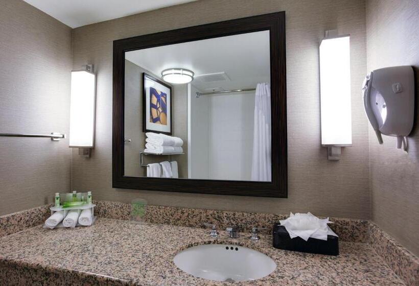 غرفة قياسية سرير كينج, Holiday Inn Express Hotel & Suites Meadowlands Area, An Ihg