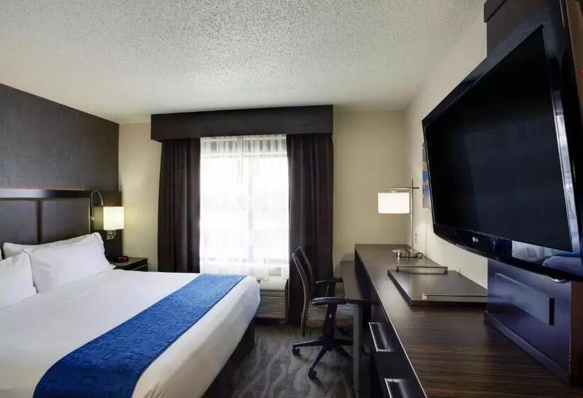 デラックスルーム, Holiday Inn Express Hotel & Suites Meadowlands Area, An Ihg