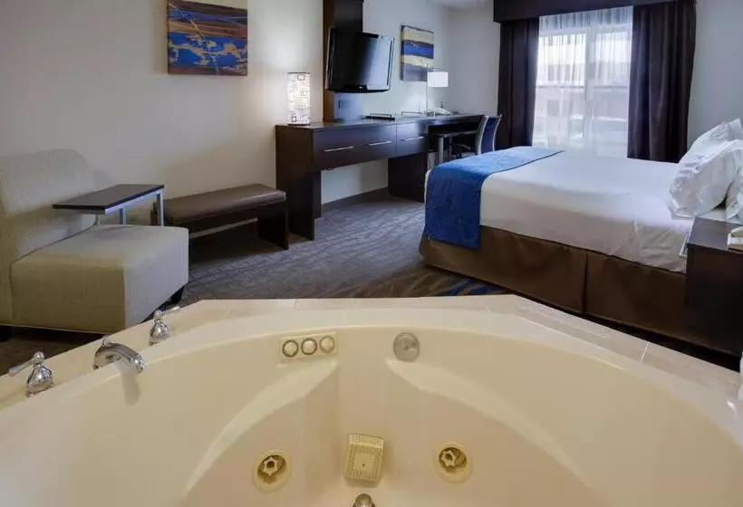 キングサイズベッドのスイートルーム, Holiday Inn Express Hotel & Suites Meadowlands Area, An Ihg