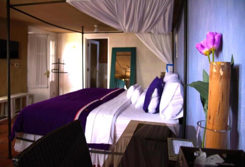 اتاق استاندارد, Azul Colonial